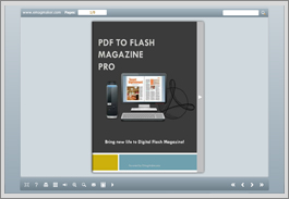 Flash_Page_Turning_Float_Template